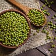 Mung Beans 2